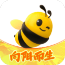 风水轮流转！曾被焦裕禄用来挡风沙的树，今成日本乐师眼中的宝贝